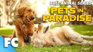 Pets In Paradise (8/26) | Season 1 Episode 8: The Golden Rule | Full Animal TV Show | FC