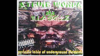 Steve Wonda - Underground Elements Vol. 1 - '90s to Early 2K Underground Real Hip Hop Mixtape CD