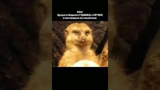 #krkn