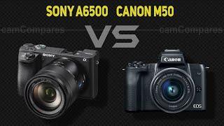 Sony A6500 vs Canon M50  [Camera Battle]