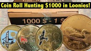 Coin Roll Hunting $1000 of Canadian $1 Coins (Loonies!) - Best Box Yet!