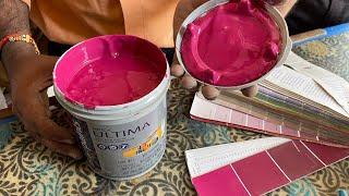 Violet delight colour | apex ultima colour | combination shade for wall | apex | asianpaints