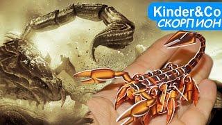 СКОРПИОН. Обзор игрушки конструктора пазла scorpion toy