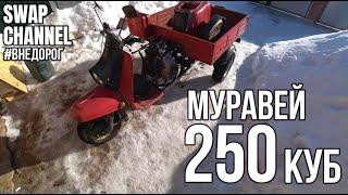 ЗИМНИЙ ПРОХВАТ МУРАВЕЙ 250 КУБ!!!