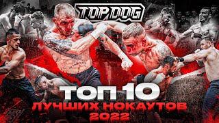 ТОП 10 НОКАУТОВ В TOP DOG | 2022