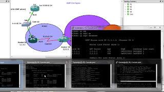 OSPF LSA types- Step by Step-