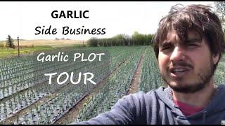 $30,000 Garlic Growing Side Business - Plot Tour