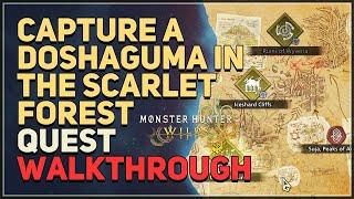 Capture a Doshaguma in the Scarlet Forest Monster Hunter Wilds