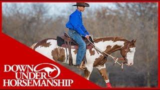 Clinton Anderson: Professional Clinician Diego Gaona - Downunder Horsemanship