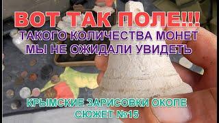 Вот так поле! Такого количества монет мы не ожидали увидеть. Крымские Зарисовки о копе. Сюжет №15