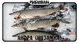 Рыбалка Андра (р. Низямка)