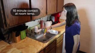 Sanitizing the Kitchen