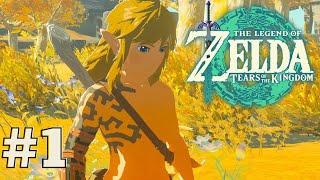 ZELDA: Tears of the Kingdom - PART 1 - Totk / Botw 2 Gameplay walkthrough