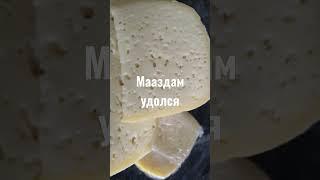 мааздам просто огонь.