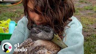 Niña pequeña rescata un huevo y termina con una mejor amiga | El Dodo