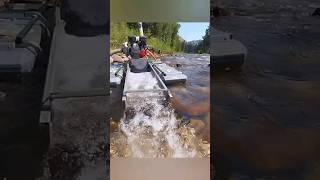 GOLD MINING WITH A GOLD DREDGE #goldmining #goldmine #gold #goldminer #nature