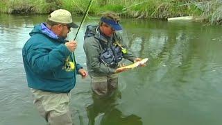 Fly Fishing Montana - Beaverhead River