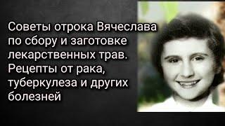 Советы отрока Вячеслава по сбору и заготовке лекарственных трав. Рецепты от рака и других болезней.