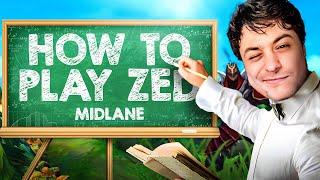 LL STYLISH | EDUCATIONAL ZED MIDLANE