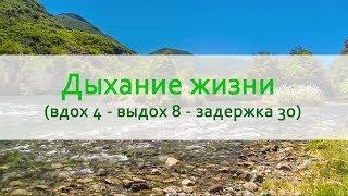 Дыхание жизни (вдох 4 - выдох 8 - задержка 30) на природе