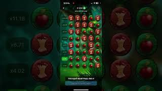 САМАЯ ПРОСТАЯ СХЕМА 1XBET ТАКТИКА НА ЯБЛОКИ ФОРТУНЫ APPLE OF FORTUNE