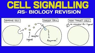 Cell Signaling - AS Biology revision