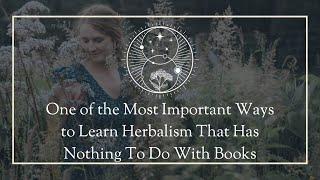 One of the most important ways to learn herbalism that has nothing to do with books