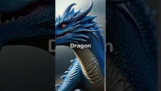 Blue Dragon Sea Slug | The Real-Life Venom-Stealing Ocean Alien