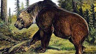 The Atlas Bear - Africa's Extinct Native Bear