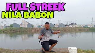 MANCING GARONG IKAN NILA BABON MANTAP FULL STREEK