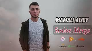 Mamali Aliev ( Sosine Merga ) 2023 official music 4k