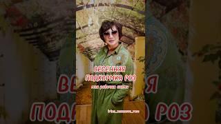 СХЕМА ВЕСЕННЕЙ ПОДКОРМКИ РОЗ #иринанаумова #розыиринынаумовой  #подкормкароз  #весенняяподкормкароз