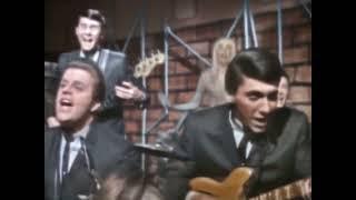 NEW  Lies - The Knickerbockers {Stereo} 1965