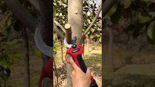 Electric Tree Pruner Easily Cut Tree Branches Like Salad #shorts