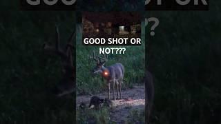 Good Shot??? #reels #fyp #subscribe #viral #deer #shorts #shortvideo #fypシ #channel #hunting #live