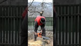 Старая и китайская, но заводится с полуоборота  #stihl #chainsaw #husqvarna #firewood