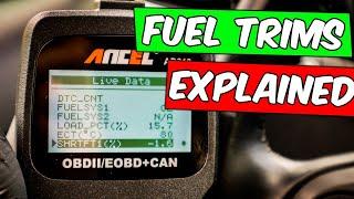 Use ENGINE FUEL TRIMS to confirm vacuum leak