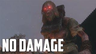 Sekiro: Shadows Die Twice - All Mini-Bosses [No Damage]