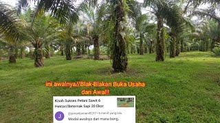 Kisah Inspirasi Awal Membuka Kebun Sawit dan Ternak Sapi