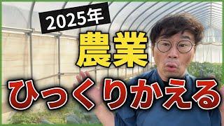 2025年 米 野菜は安くなる？