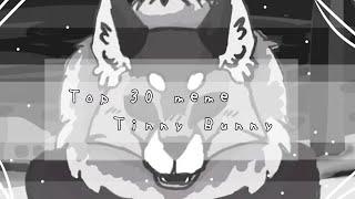 ° Top 30 meme |•| Зайчик Tinny Bunny °