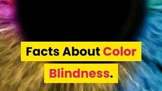 10 Facts About Color Blindness