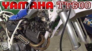 Знакомство с Yamaha TT600