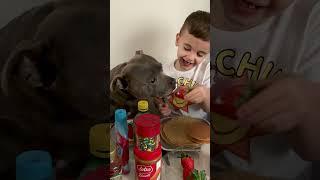 A Tribute To A Boy And His Very Best Friend ️ | The Dodo