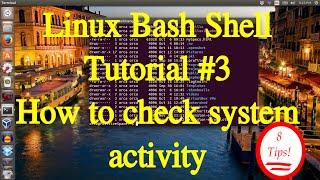 Linux Bash Shell Tutorial #3 How to Check Linux System Activity . 8 tips and tricks