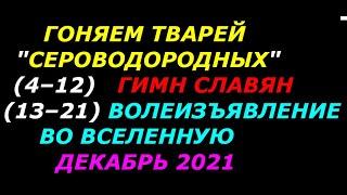 Гоняем тварей сероводородных с 4 по 21 декабря 2021