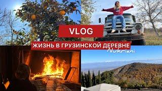 VLOG #1 Жизнь в грузинской деревне