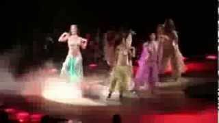 The Circus Starring: Britney Spears_live from paris HD DVDRip.Divx.part4