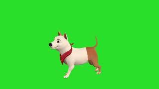 Green Screen 3D Dog Videos: Adding Charm to Your Content! #copyrightfree #greenscreeneffects