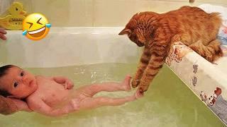 New Funny Animals  Funniest Cats and Dogs Videos #cutecatdog